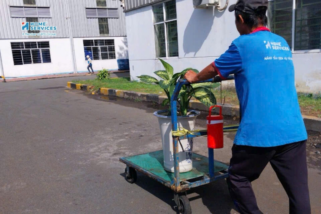 Dịch vụ chăm sóc cây xanh uy tín